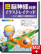 改訂第3版 脳神経科学イラストレイテッド