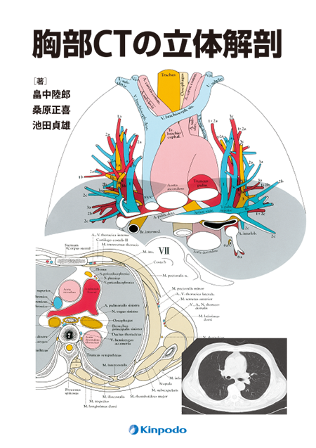 胸部CTの立体解剖